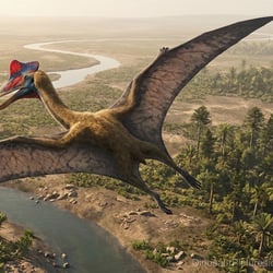 Quetzalcoatlus pictures