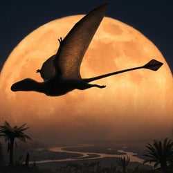 Radiodactylus pictures