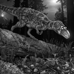 Raptorex pictures