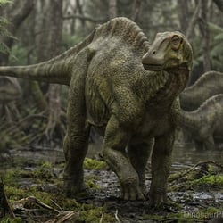 Rebbachisaurus pictures