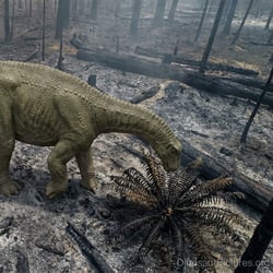 Rhoetosaurus pictures