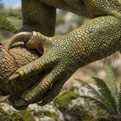 Rileyasuchus pictures