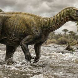 Riojasaurus pictures