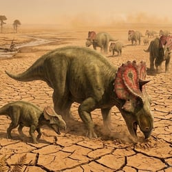 Rubeosaurus pictures