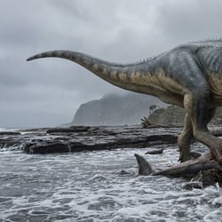 Saltriosaurus pictures