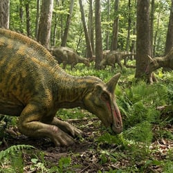 Saurolophus pictures