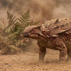 Sauroplites pictures