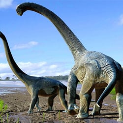 Savannasaurus pictures