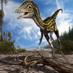 Scipionyx pictures