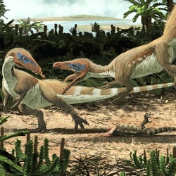 Sciurumimus pictures