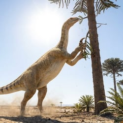 Sellosaurus pictures