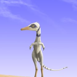 Shuvuuia pictures