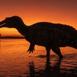 Sigilmassasaurus pictures