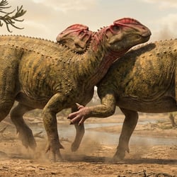 Sirindhorna pictures