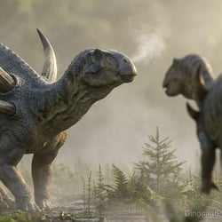 Spinophorosaurus pictures