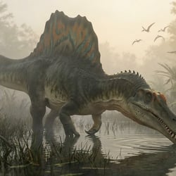 Spinosaurus pictures