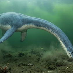 Spitrasaurus pictures