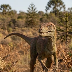 Staurikosaurus pictures