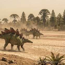 Stegosaurus pictures