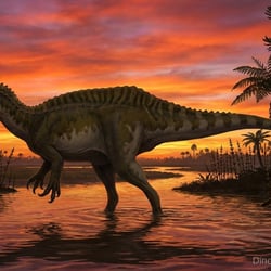 Suchomimus pictures
