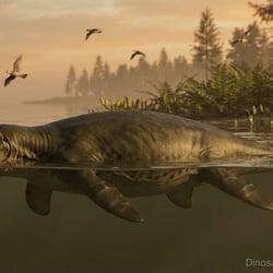 Sulcusuchus pictures