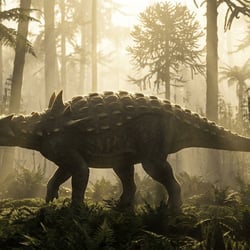 Syngonosaurus pictures