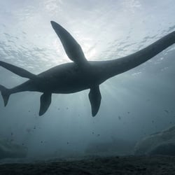 Taphrosaurus pictures