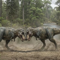 Tarbosaurus pictures