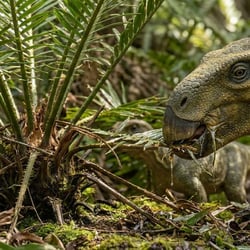 Tenontosaurus pictures