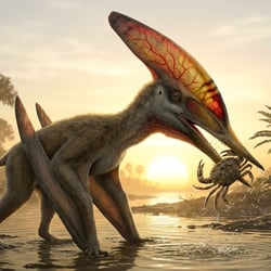 Thalassodromeus pictures