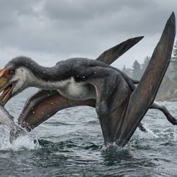 Thapunngaka pictures