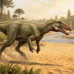 Theiophytalia pictures