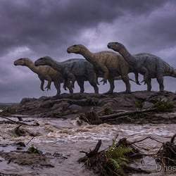 Thotobolosaurus pictures