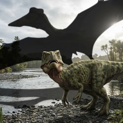 Transylvanosaurus pictures