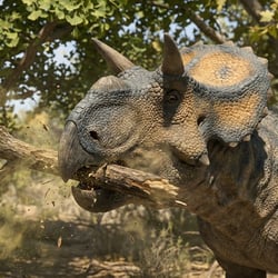 Turanoceratops pictures