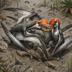 Uktenadactylus pictures