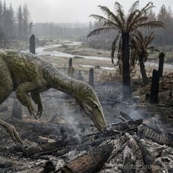 Valdoraptor pictures