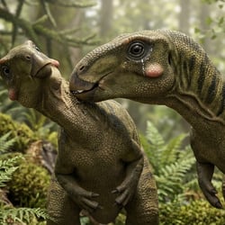 Valdosaurus pictures