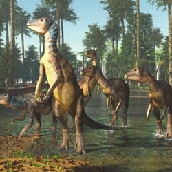 Weewarrasaurus pictures