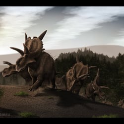 Xenoceratops pictures