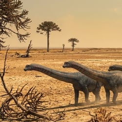 Xinjiangtitan pictures