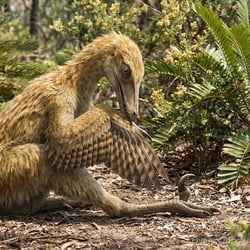 Xixiasaurus pictures