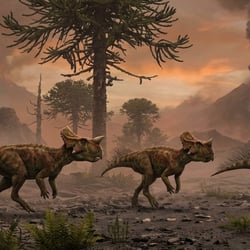 Xuanhuaceratops pictures