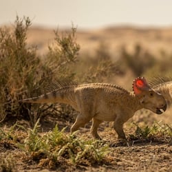 Yamaceratops pictures