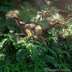 Yixianosaurus pictures