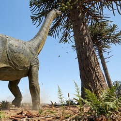 Yunmenglong pictures