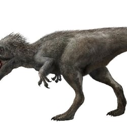 Yutyrannus pictures