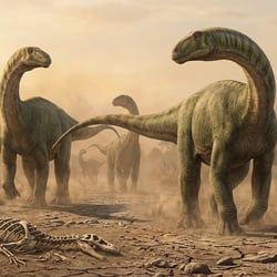 Zapalasaurus pictures