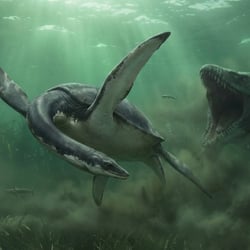 Zarafasaura pictures