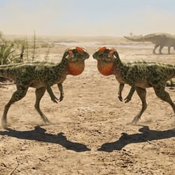 Zephyrosaurus pictures